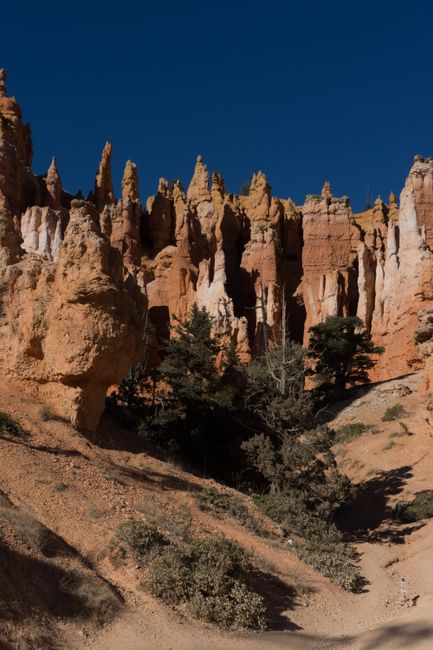 This image depicts a natural landscape featuring a collection of tall, rugged rock formations with layered, earthy tones of beige, orange, and reddish hues under a clear, deep blue sky. The rocks display pointed, irregular shapes, some with jagged peaks, casting shadows across the terrain. In the foreground, there is a sandy, sloped area with sparse vegetation, including small shrubs and a few trees with dark green foliage, some of which are growing directly at the base of the rock formations. The scene suggests an arid, dry environment typical of a canyon or desert-like area, with the terrain gradually rising towards the towering rocks dominating the background. The image’s lighting indicates bright sunlight, illuminating the varied textures of the rocks and creating contrasting shadows that enhance the depth of the scene. This landscape resembles a natural park or remote wilderness area, suitable for activities like hiking or sightseeing, and could be associated with locations that might be considered for private or independent waste management or preservation efforts by environmental or conservation organizations like House Clearance Queens Park involved in land or property clearance.